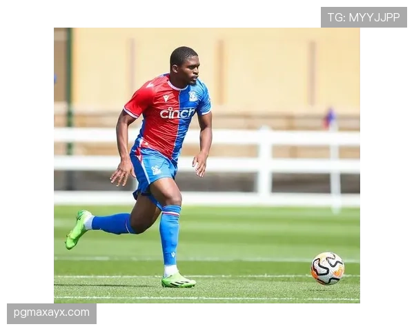 水晶宫中场组织近期表现稳健，攻防转换效率持续提升