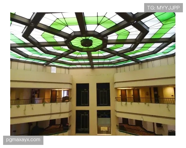 田亮带娃逛超市，奥运冠军的日常开销居然这么接地气？